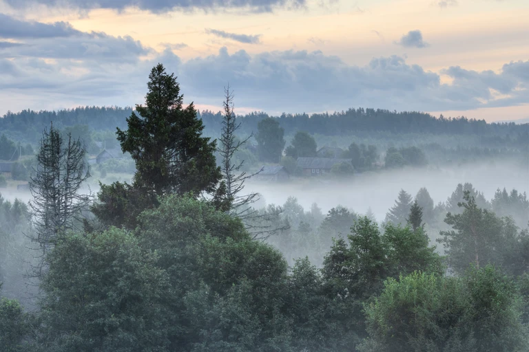 Dense forest with mist and scattered houses in the distance under a cloudy sky.
