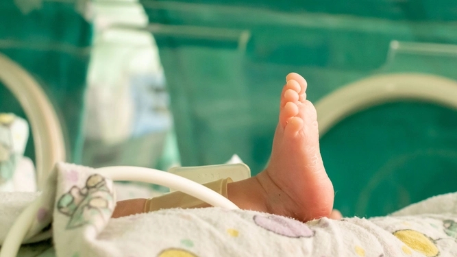 A close-up of a newborn baby's foot inside an incubator in a hospital neonatal care unit.